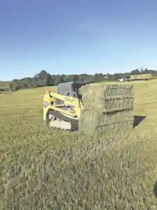 Forage sampling reveals quality - Country Culture