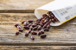 CCE Madison’s Seed to Supper program concludes educating nearly 50 gardeners