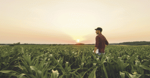 Why corn is important to all of us