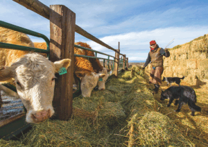 Addressing limited resources in the ag sector