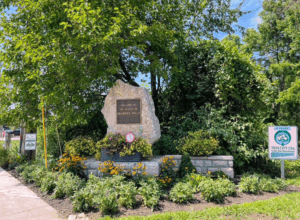 How to start a 501(c)(3) for your local In Bloom program