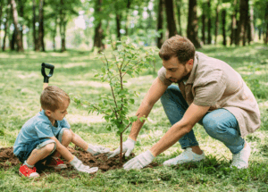 Plant trees correctly